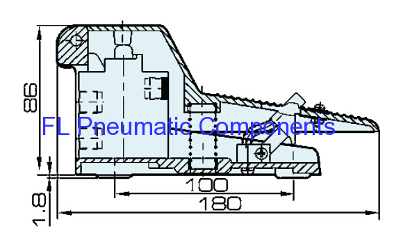 Foot Valve with Lock