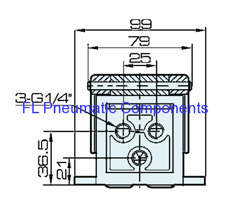 Foot Valve with Lock