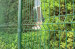 Plastic-coating Welded mesh bending fence