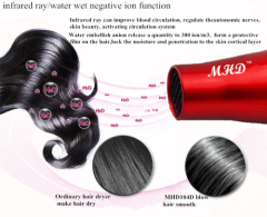 1875W AC motor professional hair dryer/Negative ion hair dryer blower/wall mount hair drier