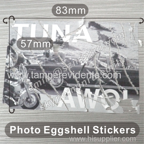 Photo Fragile Eggshell Stickers