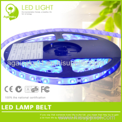 3528 SMD Waterproof LED Strip 12v