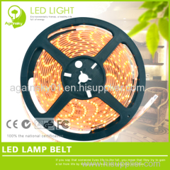 3528 SMD Waterproof LED Strip 12v