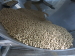 fish feed making machine