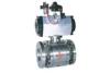 leader motorized ball valve