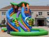 0.55mm Thickness Inflatable Pool Slide / CE Approved Blower / Durable Vinyl Carriage Bag