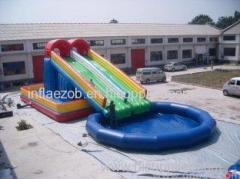 Custom 16mL x 6.8m x 6.5W or Customized Inflatable Hippo Slide / Pool Slide