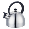 stainless steel tea kettle