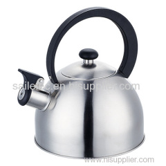 stainless steel tea kettle