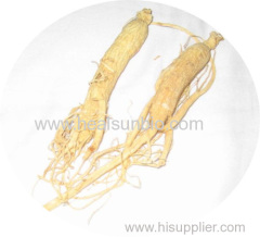American Ginseng Root Slice