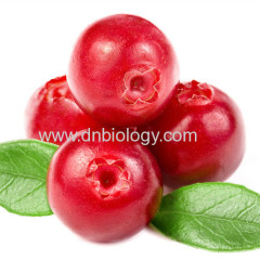 Cranberry extract Proanthocyanidins5% 15% 30%Anthocyanins5% 10% 25% China cranberry extract