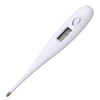 Digital clinical thermometer