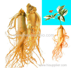 Panax Ginseng Leaves Extract Powder Ginsenoside 80%UV