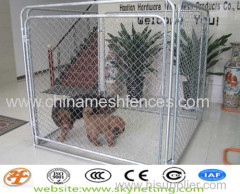 galvanized chain link dog kennel 50x50mm 60x60mm hole size