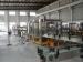Electric 3 In 1 Washing Filling and Capping Machine Liquid Filling Production Line