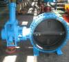 Double Eccentric Flange End type Butterfly Valve