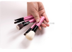 Pink Mini Makeup Brush Set