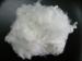 recycled fiber recycled pet fiber polyester fibers