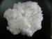 Optical White AA 2.5D * 38 / 51mm PET Recycled Polyester Staple Fiber for Yarn Spinning