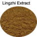 Ganoderma lucidum/lingzhi Extract Powder polysaccharide 20%~50% UV