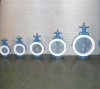 Lined PTFE Wafer butterfly valve