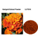 Lutein CWS Marigold Extract