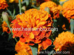 Zeaxanthin Marigold flower extract