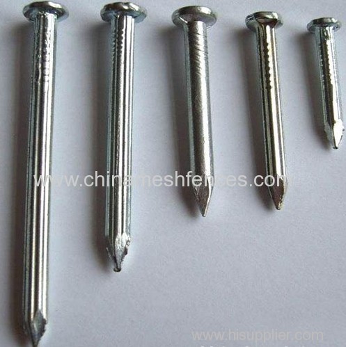 Standard galvanized steel concrete nails