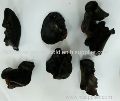 100% Natural Edible Fungus