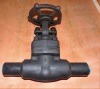 800LB SW A105N Forged Gate Valve With Nipple