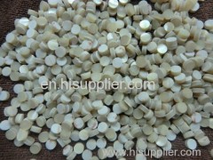 Natural Trochus shell button blank
