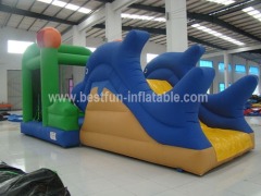 Sea world inflatable dolphin bouncy