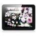 Tablet PC 9.7 rochchip 2918 1.2GHz with capacitive touch screen HDMI buletooth wifi