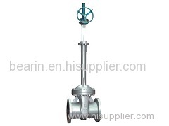 Cryogenic Gate Valve 1