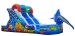 WATER SLIDE CORAL REEF