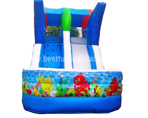 Exciting inflatable fish slide for adults