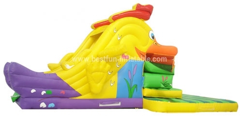 Inflatable amusement air fish slide