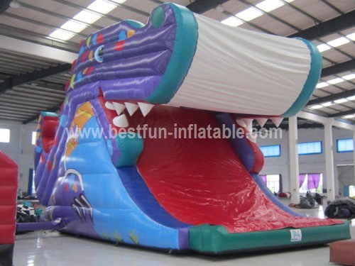 Whale Inflatable Slide Amusement Park
