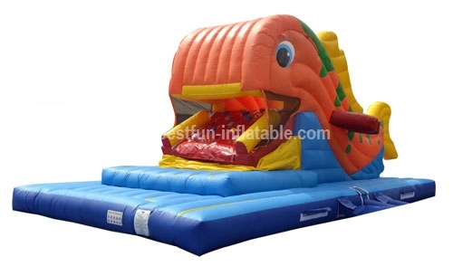 Commercial inflatable whale slide