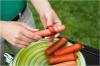 SPIRAL HOT DOG SLICERS