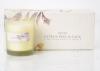 Home fragrance/ 3pcs/set scented soy candle/ scented candle in color box