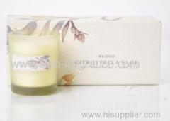 3pcs/set scented soy candle