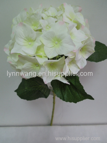 Fashion hydrangea flowers flower stage decoration