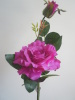 Cheap wholesale hot selling rose flower