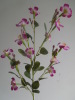 Wholesales pink decoration flowers jasmine flower price