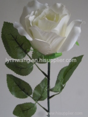 satin white single rose flower