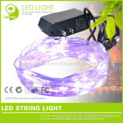 12V waterproof Silver wire LED String for Holiday Decoration