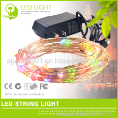 12V waterproof Silver wire LED String for Holiday Decoration