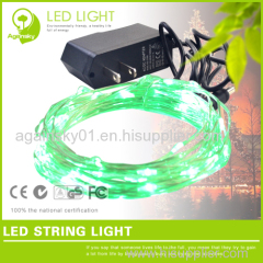 12V waterproof Silver wire LED String for Holiday Decoration