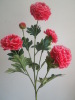 Wholesale red flower decorative dried flowers